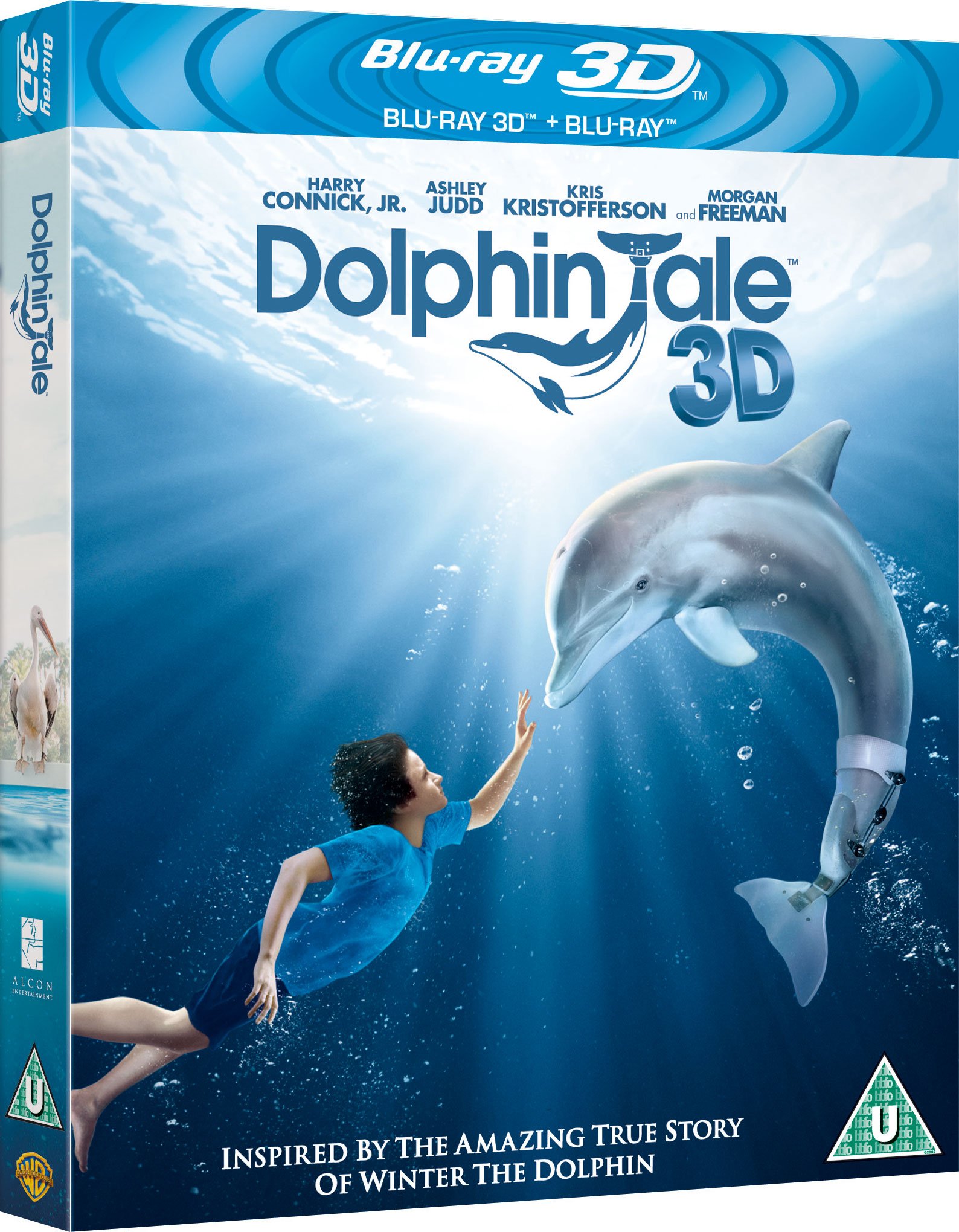 Dolphin Tale [Blu-ray 3D + Blu-ray] [Region Free]: Amazon.co.uk